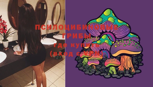 дурь Карталы