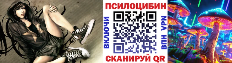 Псилоцибиновые грибы GOLDEN TEACHER  Купить где  Городец 